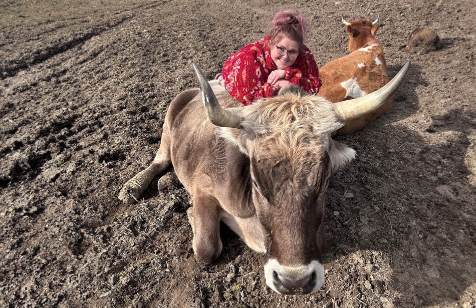 Heather, someone with NMOSD, is lying down with two of her cows from her dairy farm.
